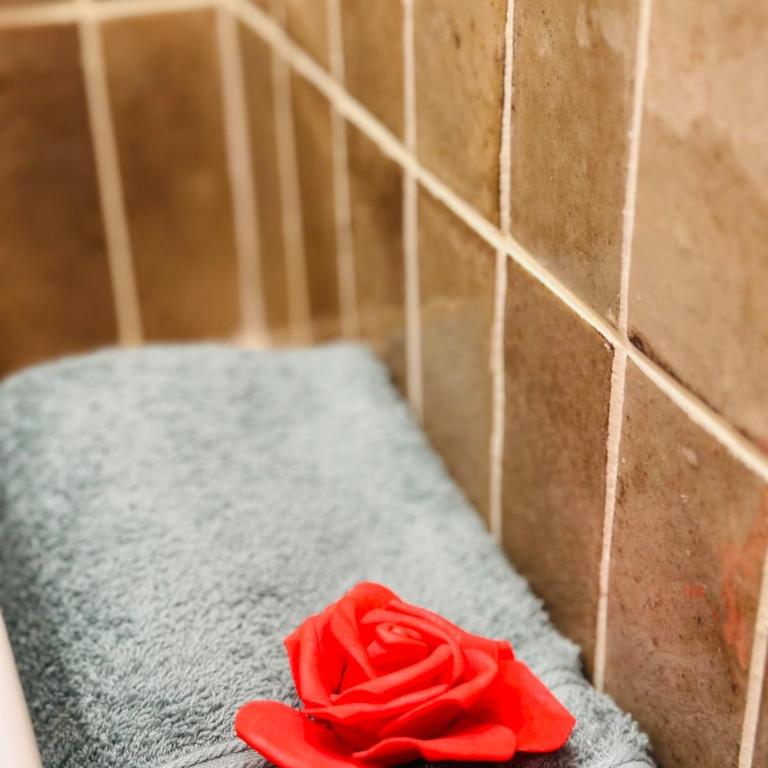 Auréa - Elégant Duplex Rennes - Apartamento de 1 dormitorio - 6