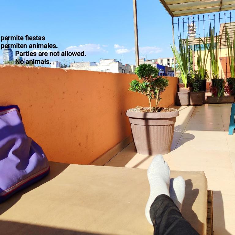 Downtown apartmen with private terrace - One-Bedroom Apartment - 3