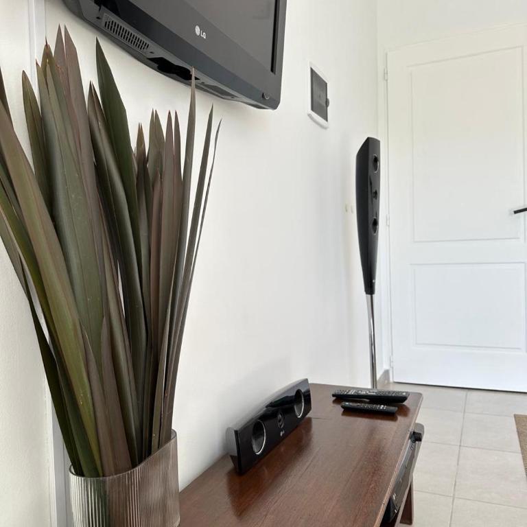 Saturno - Céntrico y Completo - Apartamento de 1 dormitorio - 6