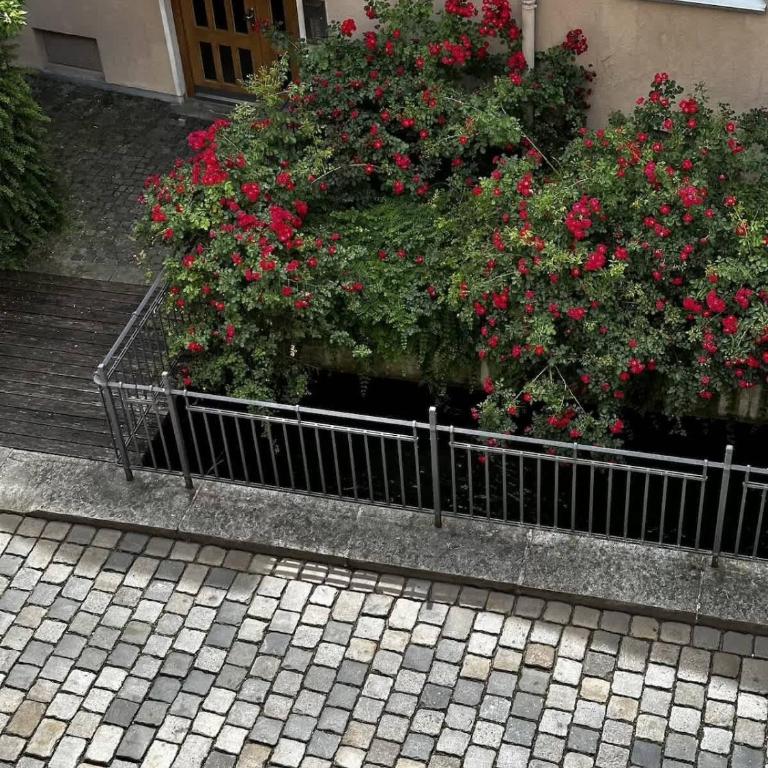 GoldenKey-Suites - Spacious Luxury Apartment in the Heart of Augsburg Old Town - Premium Open-Plan Kitchen - Appartement - 48