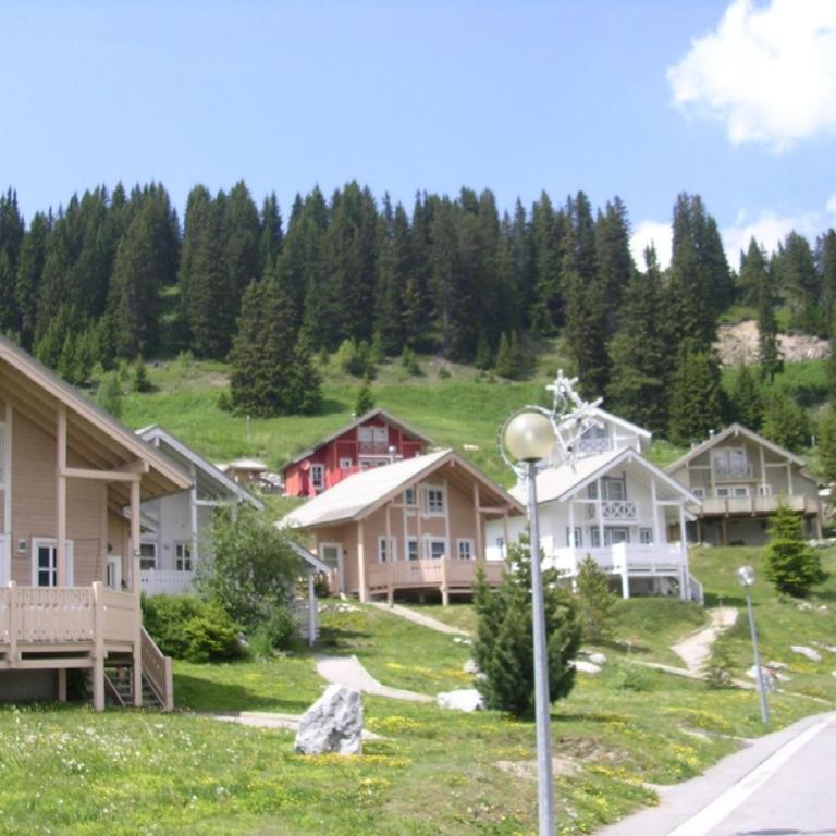 Chalet lumineux · Sauna privatif · Garage · 12 personnes - FR-1-425-119 - Chalet - 20