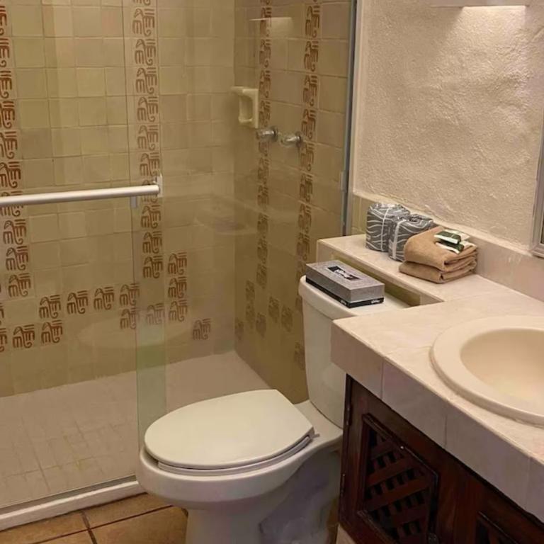 junge - One-Bedroom Apartment - 1