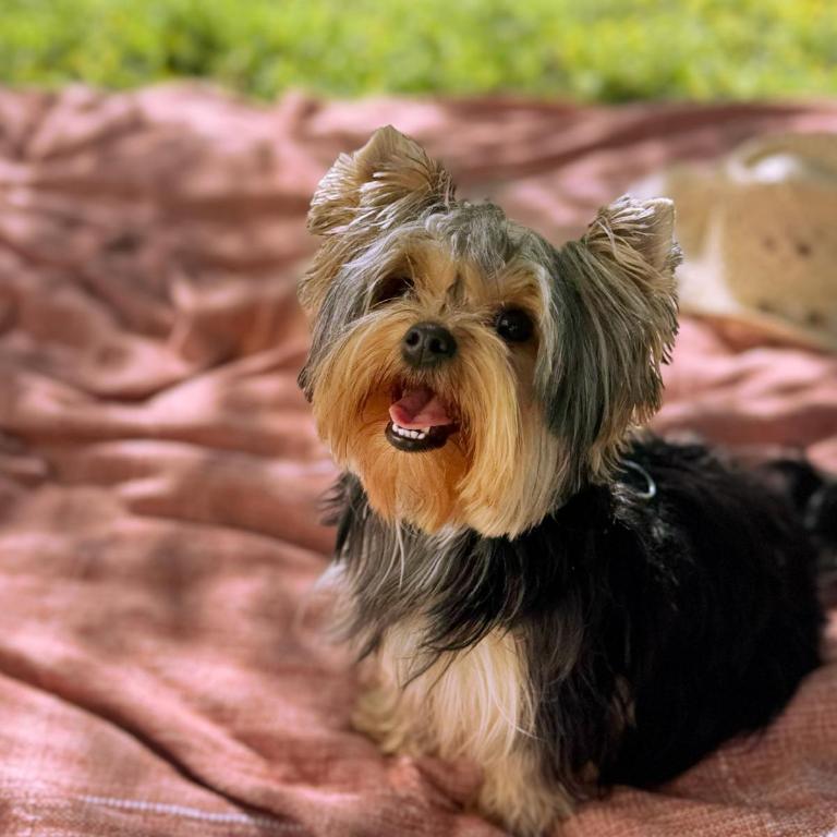 Aguaribay - Casa de 2 dormitorios - 16