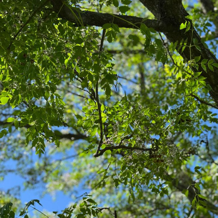 Aguaribay - Casa de 2 dormitorios - 22