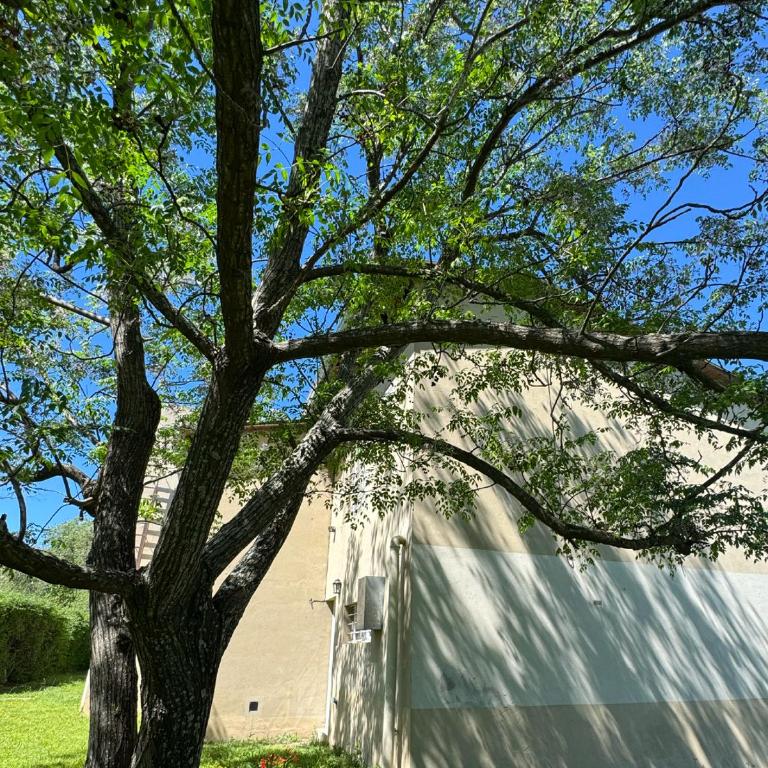 Aguaribay - Casa de 2 dormitorios - 18