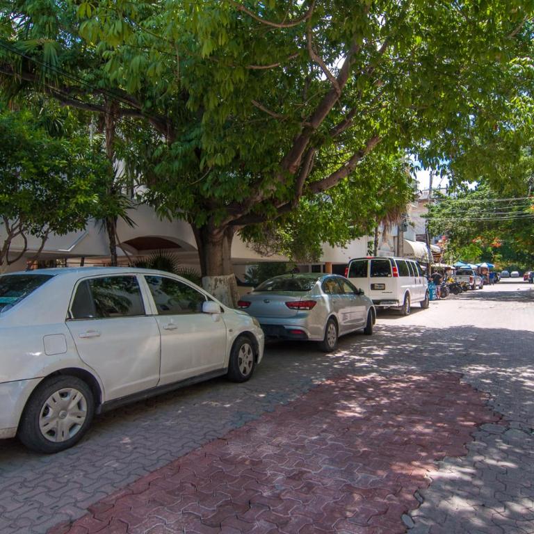 Private Terrace 3 blocks to Mamitas & 5th Ave, Gated with Pool - Apartment mit 1 Schlafzimmer - 22