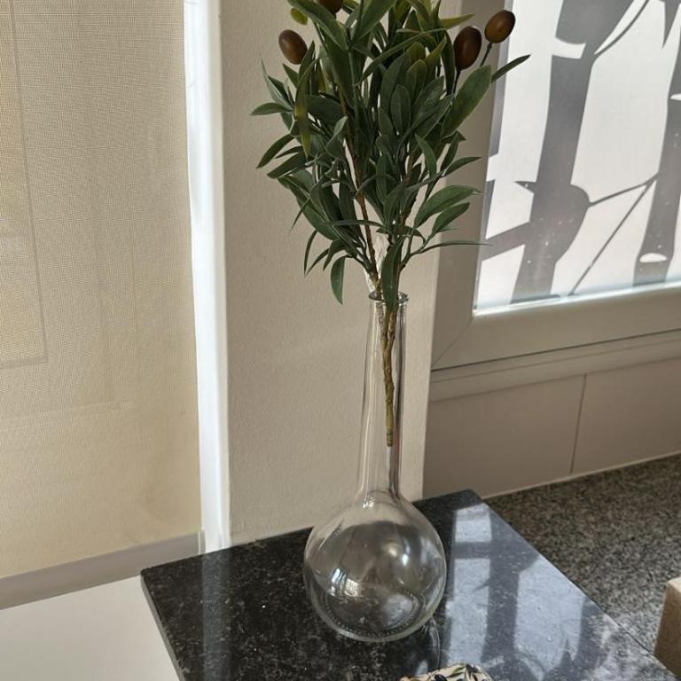 Il olivo de Guemes - One-Bedroom Apartment - 1