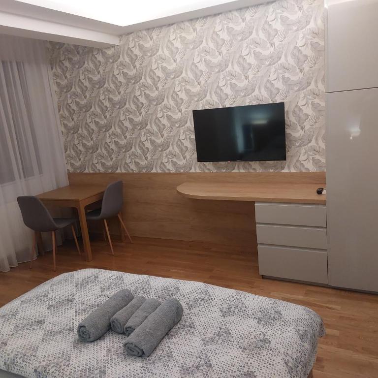 Centar Crnjanski 1 - Apartman sa 1 Spavaćom Sobom - 11