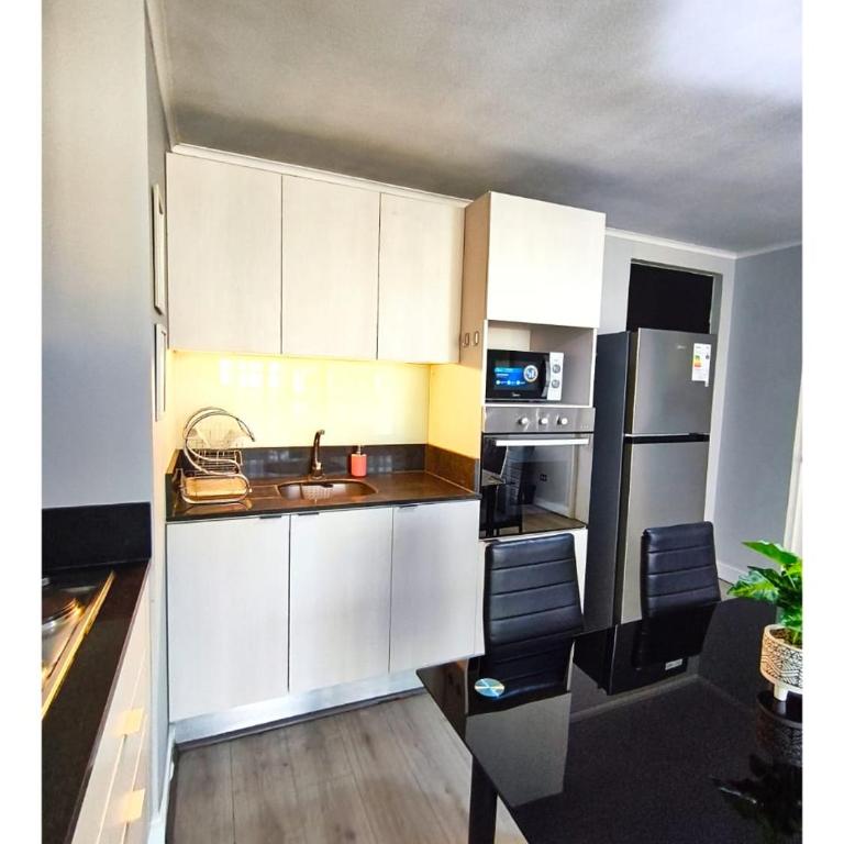 Vive Santiago con Estilo y Espacio - Two-Bedroom Apartment with Terrace - 3