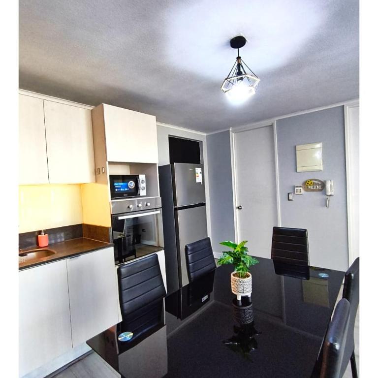 Vive Santiago con Estilo y Espacio - Two-Bedroom Apartment with Terrace - 4