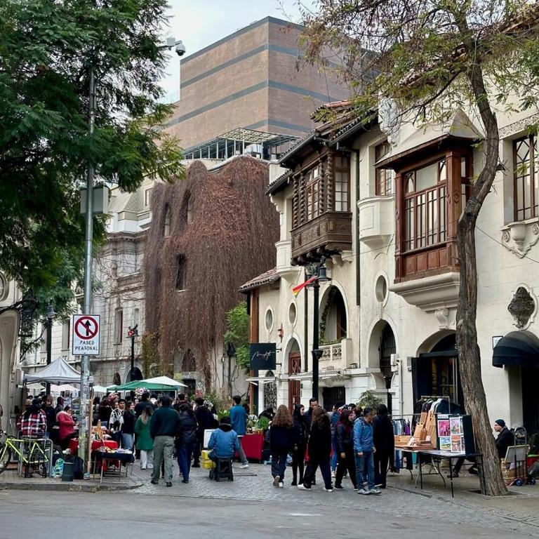 Vive Santiago con Estilo y Espacio - Two-Bedroom Apartment with Terrace - 46