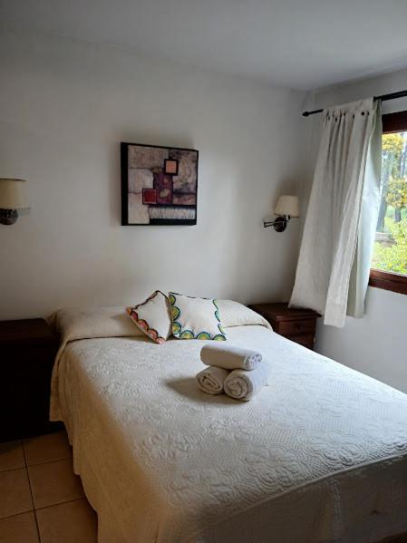 En el bosque - Apartamento Estudio - 4