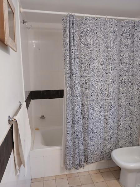 En el bosque - Apartamento Estudio - 5