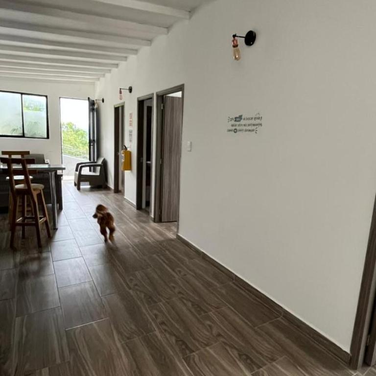 ZOI Eco Hotel y Glamping - Suite Familiar Deluxe - 16