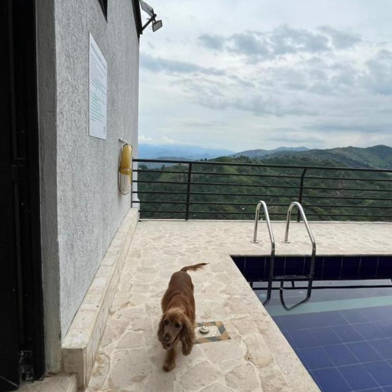 ZOI Eco Hotel y Glamping - Suite Familiar Deluxe - 23