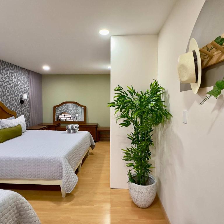 Casa Lomas Cozy 3 Bedroom 2 Bath House by Xolos Stadium - Three-Bedroom Villa - 26