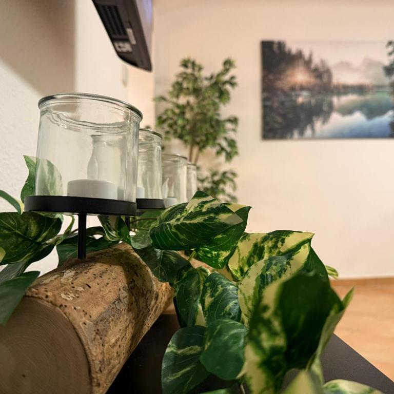 Alpen-Oase - Apartment mit Terrasse - 10