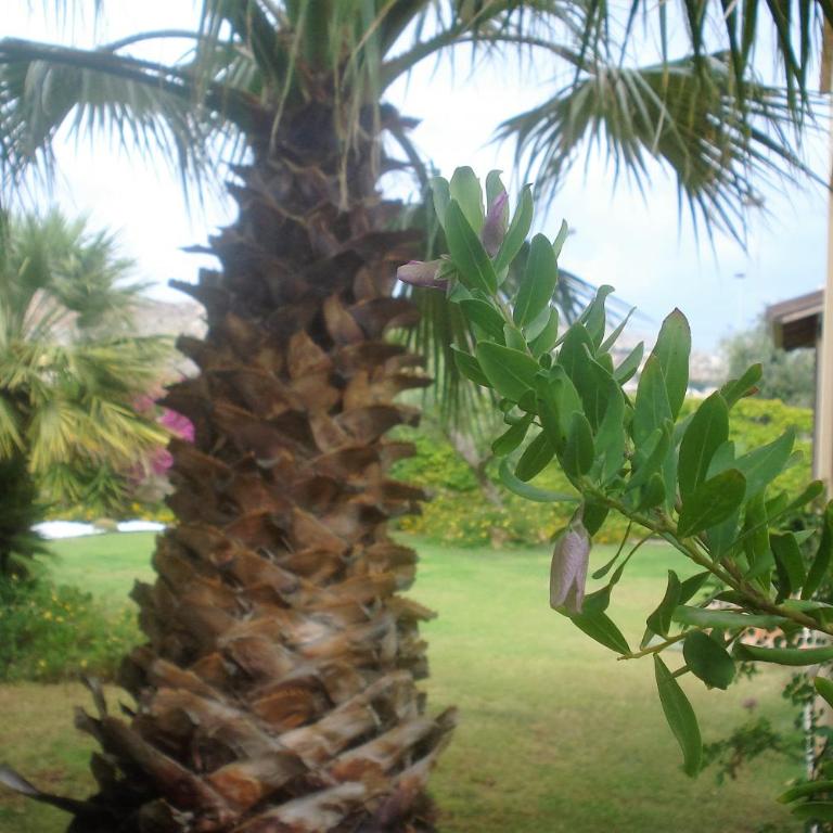 Casa Vacanze Libeccio - Villetta con giardino e piscina condominiale - Casa Vacanze - 34