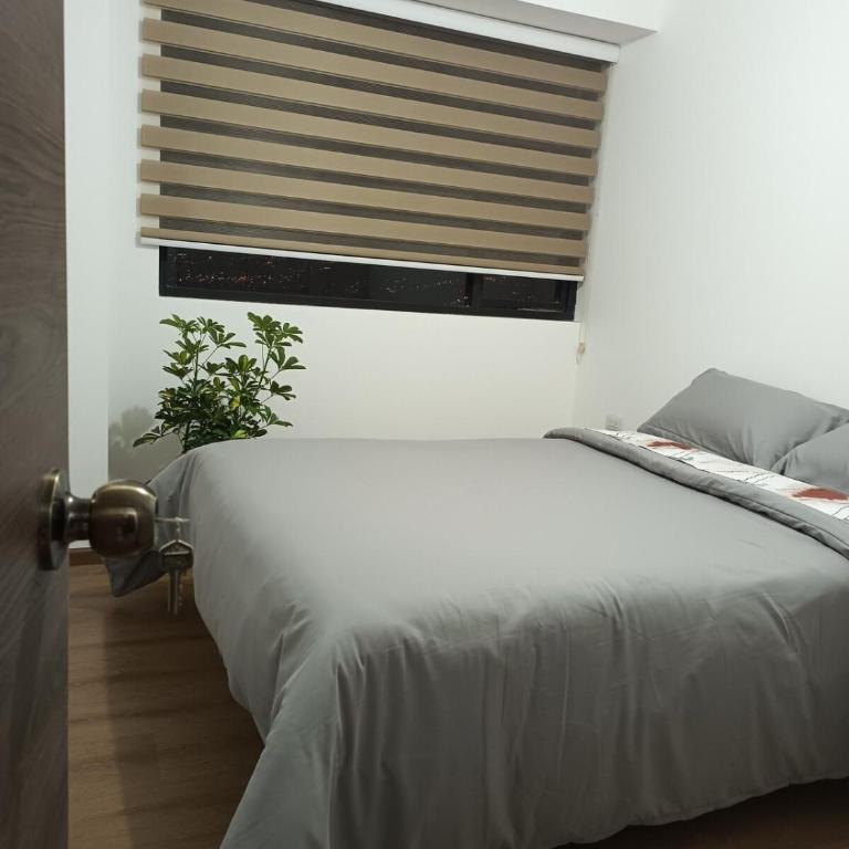 Edificio Simone - Departamento - Apartamento de 3 dormitorios - 4