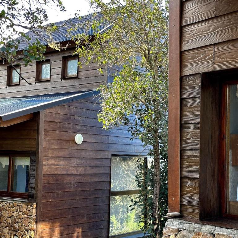 Cabañas ROCA DEL LAGO, en Villa Pehuenia - Casa de 2 dormitorios - 4
