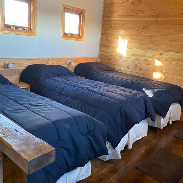 Cabañas ROCA DEL LAGO, en Villa Pehuenia - Casa de 2 dormitorios - 5