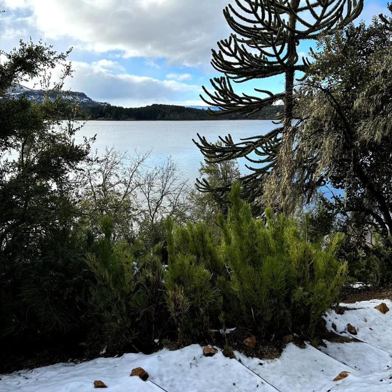 Cabañas ROCA DEL LAGO, en Villa Pehuenia - Casa de 2 dormitorios - 8