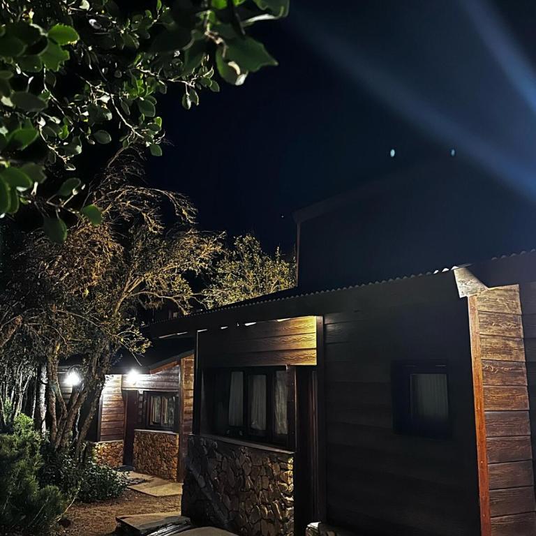 Cabañas ROCA DEL LAGO, en Villa Pehuenia - Casa de 2 dormitorios - 26