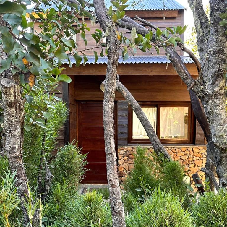 Cabañas ROCA DEL LAGO, en Villa Pehuenia - Casa de 2 dormitorios - 29
