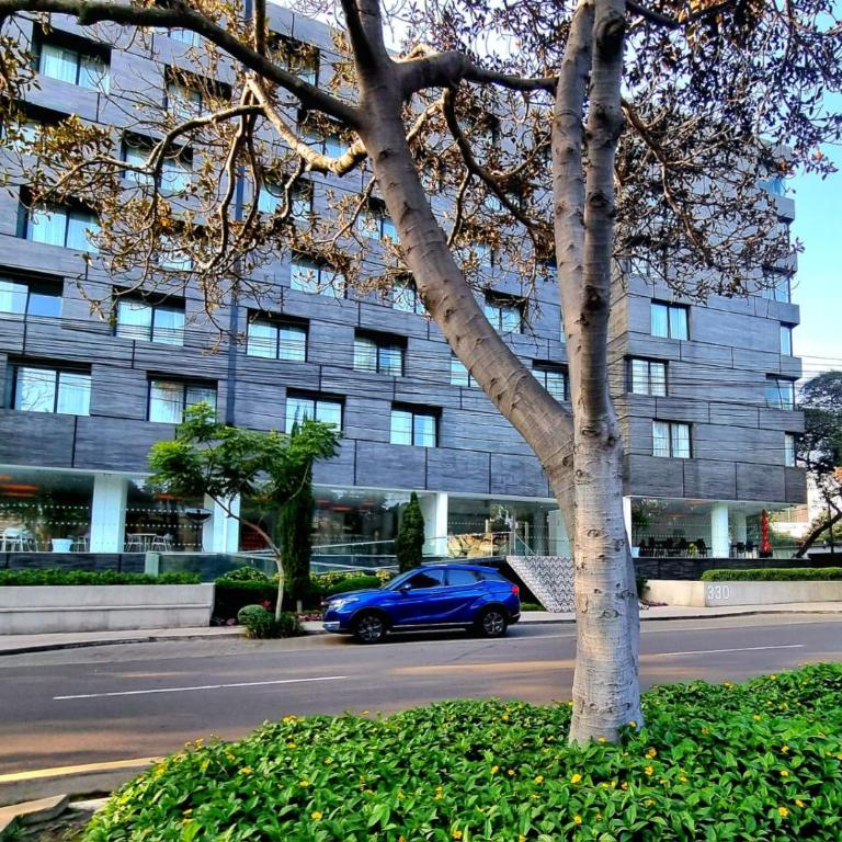 E SuiteTOP Tudela San Isidro Lima B 202 - Apartamento - 21