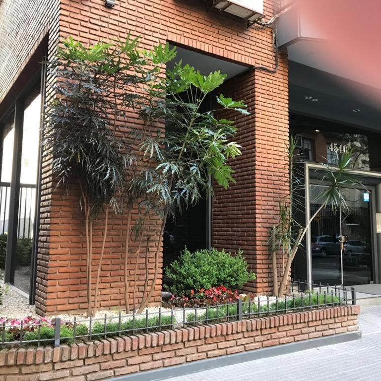 alquiler por dia juncal y oro Palermo rural hasta 5 personas Se solicita seña - Apartamento de 1 dormitorio - 11