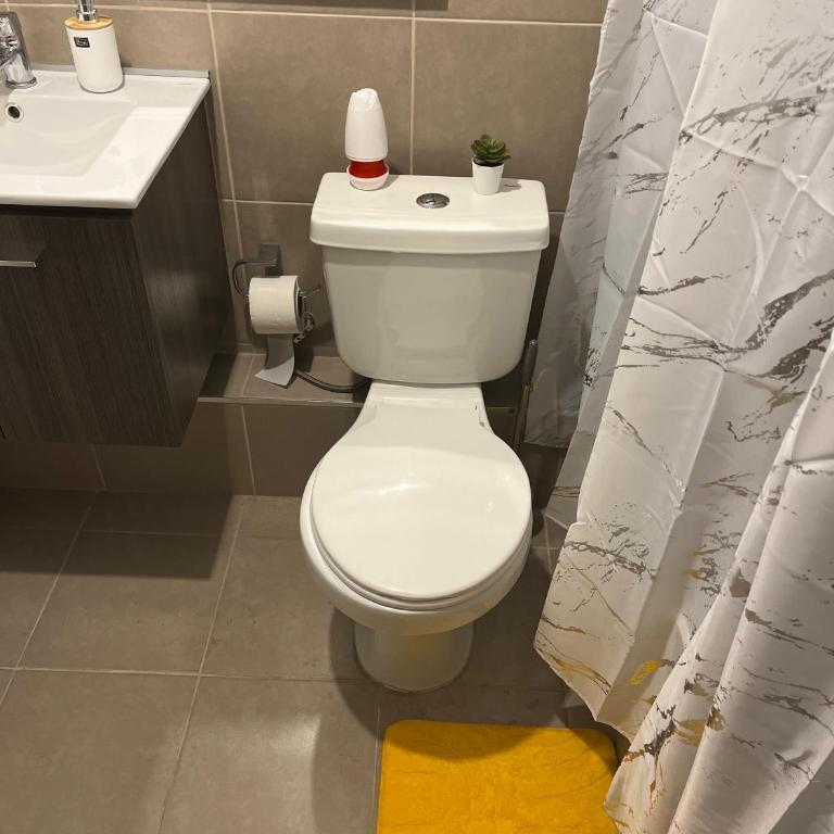 Hermoso departamento - Apartamento de 1 dormitorio - 10