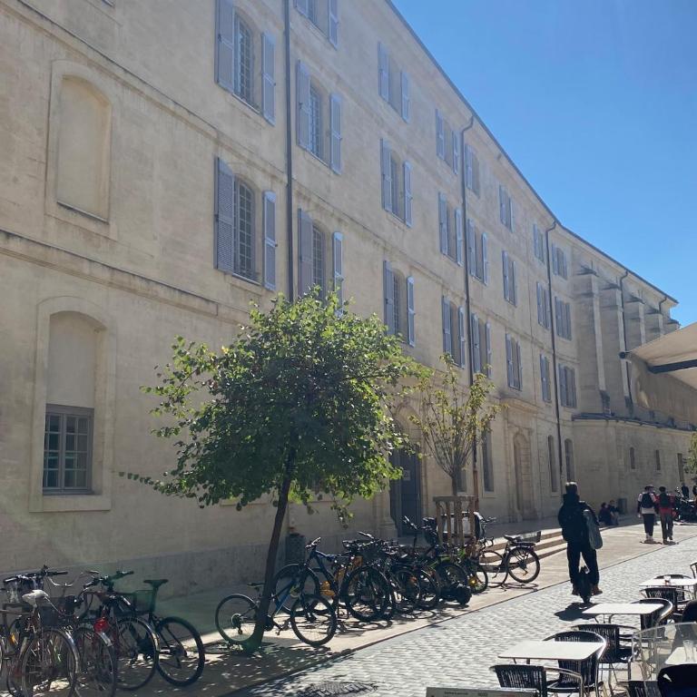 Appartement coeur d'Avignon - Appartement 1 Chambre - 27