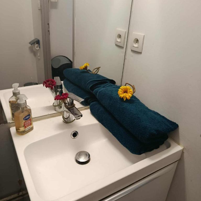 Centre de Dunkerque, Appartement RDC, 2 personnes, parking privé - Apartment - Erdgeschoss - 56