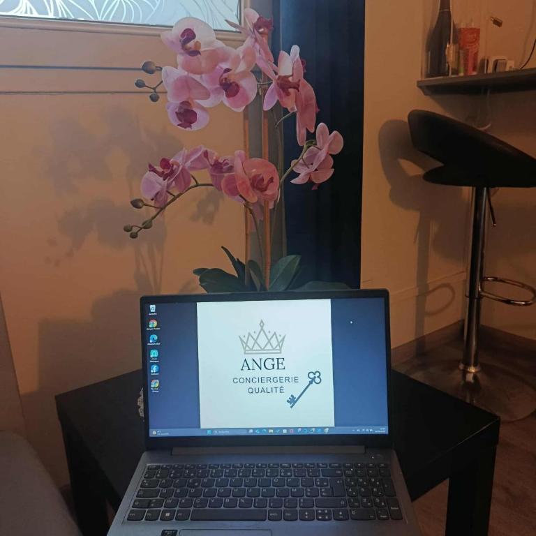 Centre de Dunkerque, Appartement RDC, 2 personnes, parking privé - Apartment - Erdgeschoss - 55