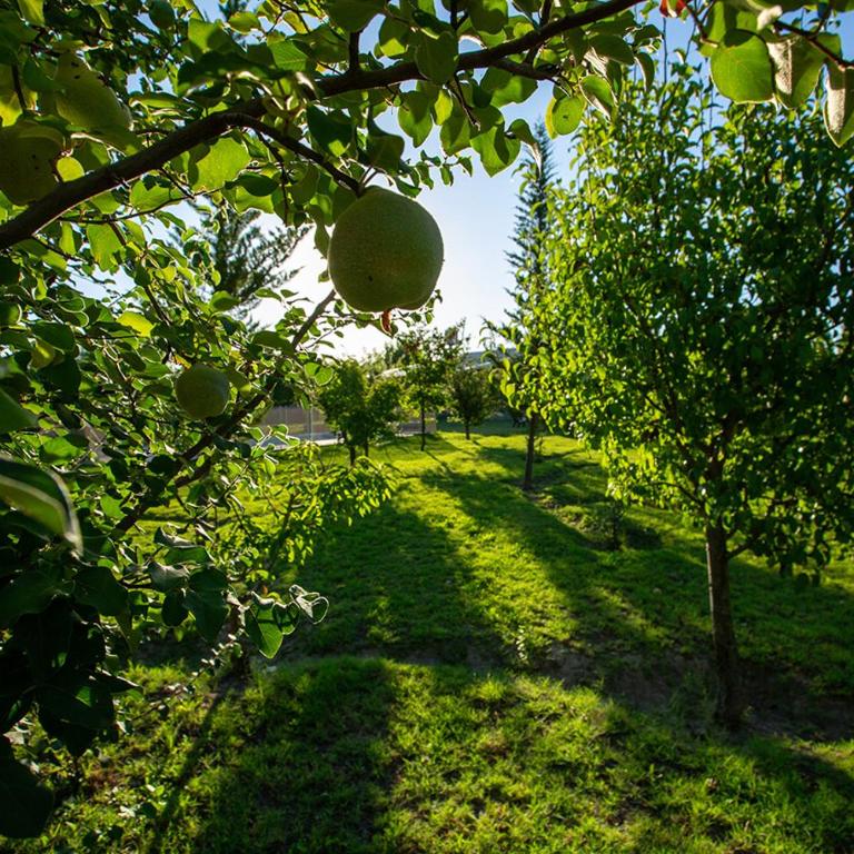 Posada Maral, San Rafael - Three-Bedroom House - 33