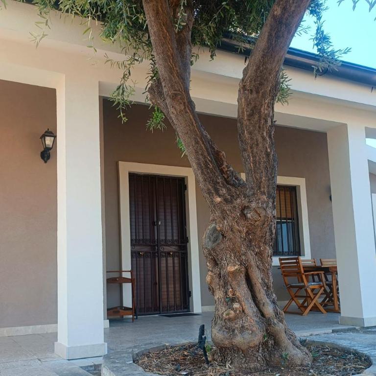 Villa Palma - Casa con 3 Camere da Letto - 2
