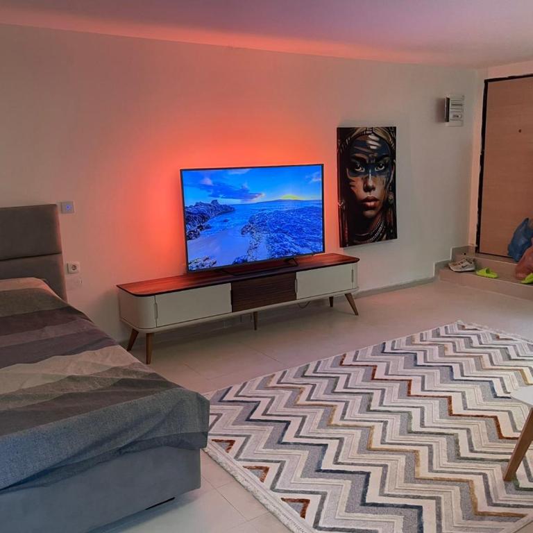 Podgorica 23 - Apartman sa 1 Spavaćom Sobom - 2
