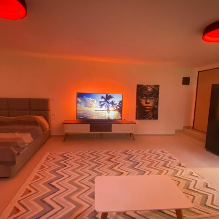 Podgorica 23 - Apartman sa 1 Spavaćom Sobom - 11
