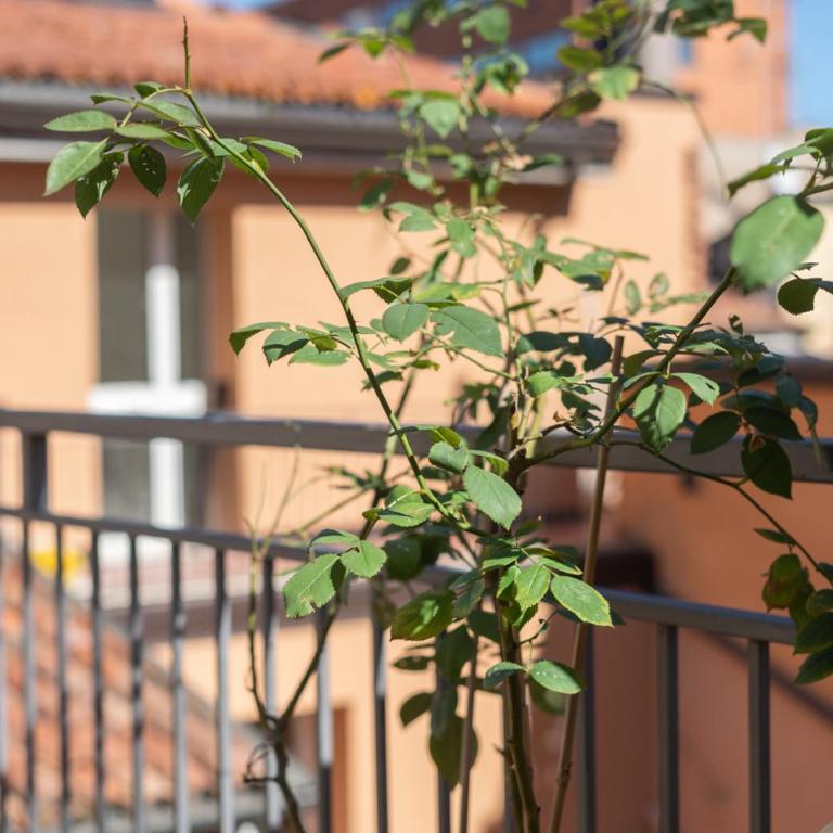 Velvet Bologna Terrace - Appartamento con 2 Camere da Letto - 50