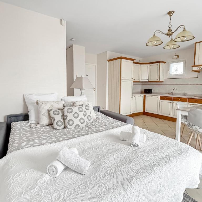 Terrasse, Parking privé, Vue lac & montagne - Appartement 1 Chambre avec Balcon - 4