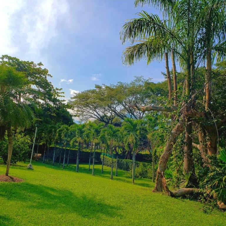 Finca - Paraiso - Villa - 11