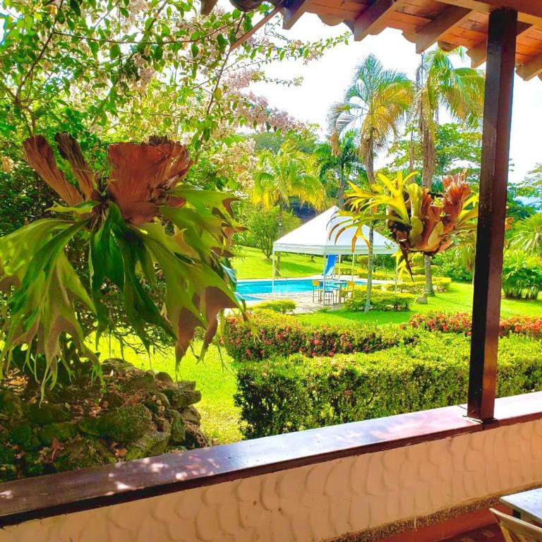Finca - Paraiso - Villa - 13