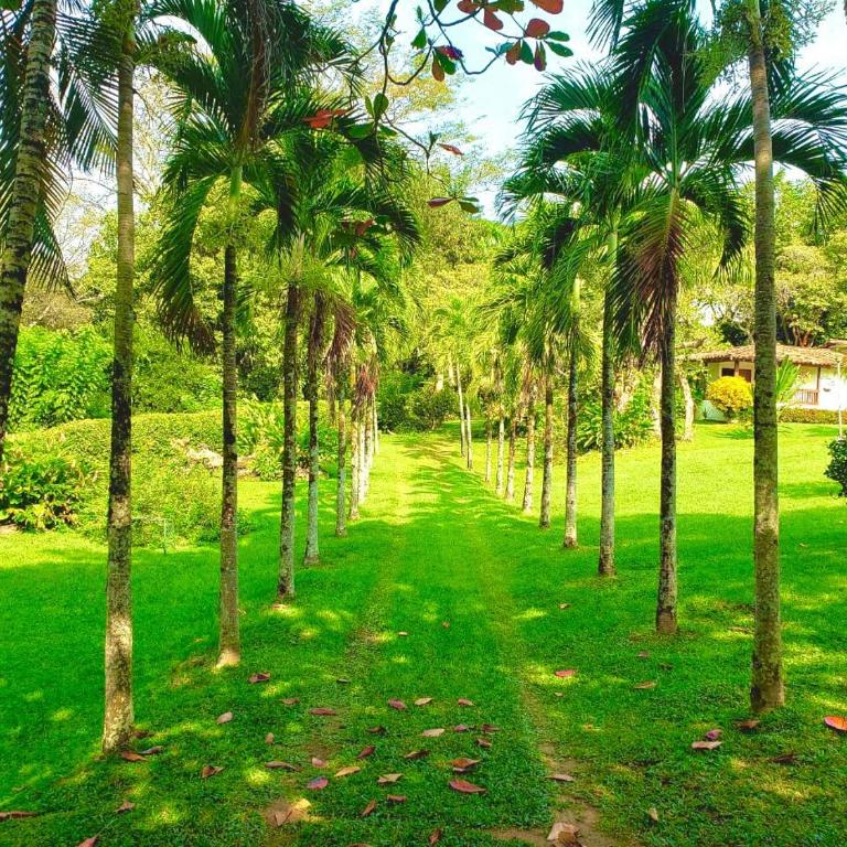 Finca - Paraiso - Villa - 16