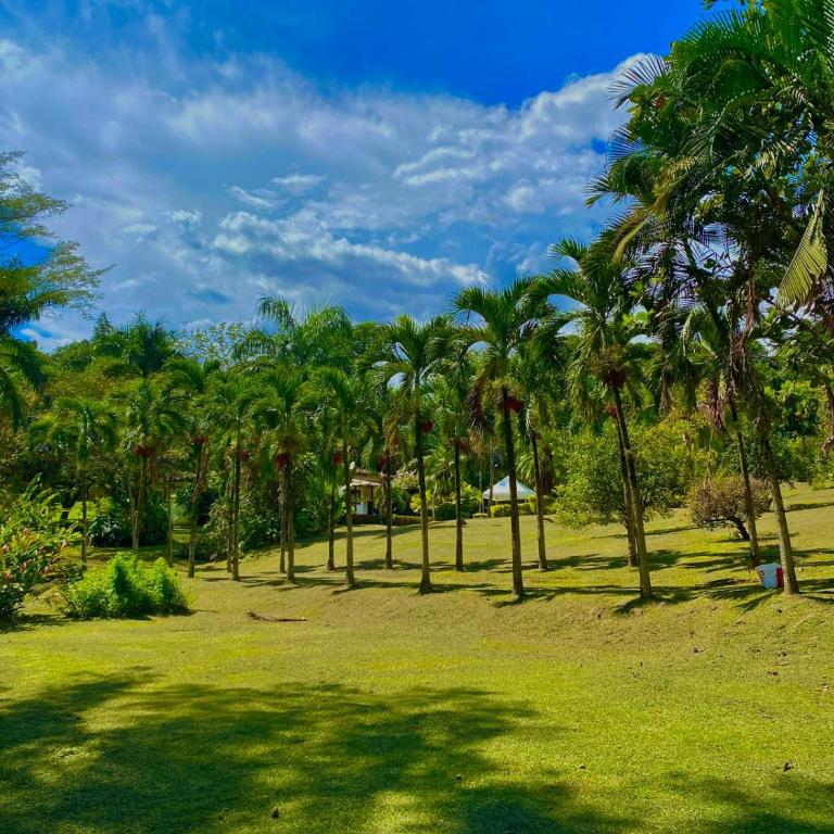 Finca - Paraiso - Villa - 26