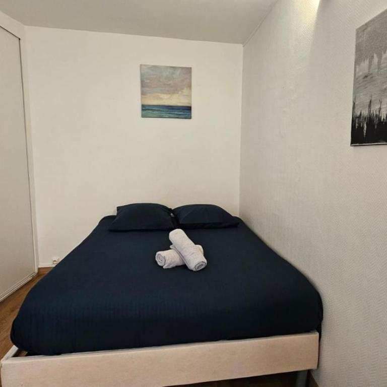 Bel Appartement en Plein Coeur de paris Quartier EMILY IN PARIS ! - Appartement 1 Chambre - 4
