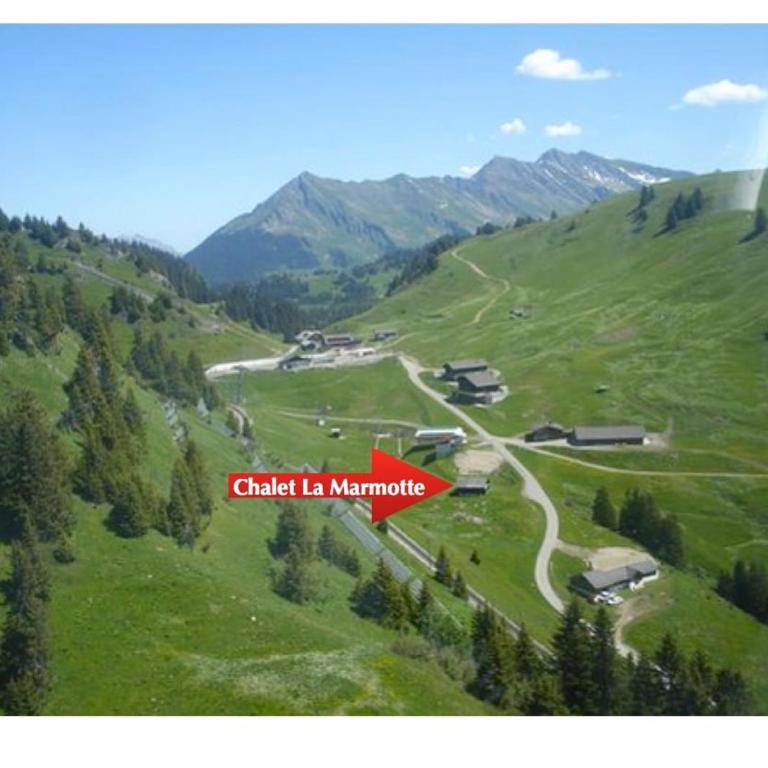 Chalet La Marmotte 1800m - Chalet de 2 dormitorios - 11