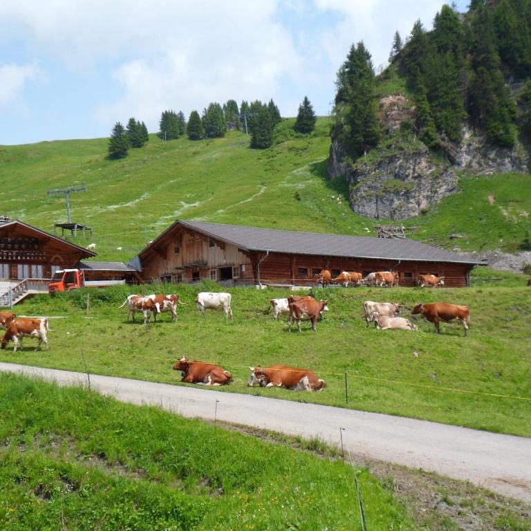 Chalet La Marmotte 1800m - Chalet de 2 dormitorios - 13