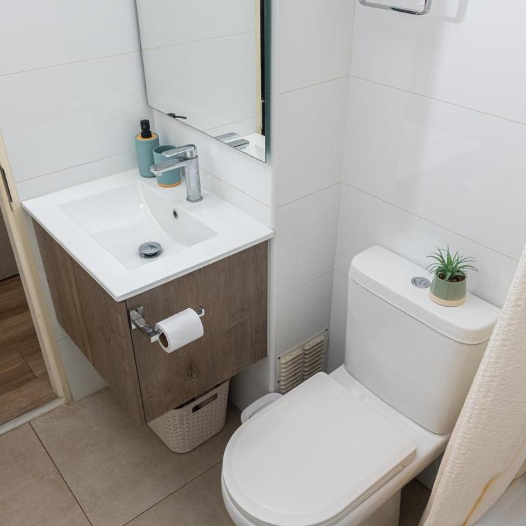Volcano Studio Pucon - One-Bedroom Apartment - 4