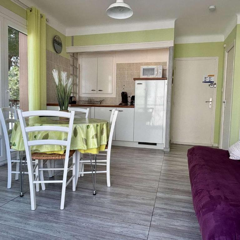 Appartement deux pièces climatisé situé au centre plage -AR110-108 - Apartment - 4