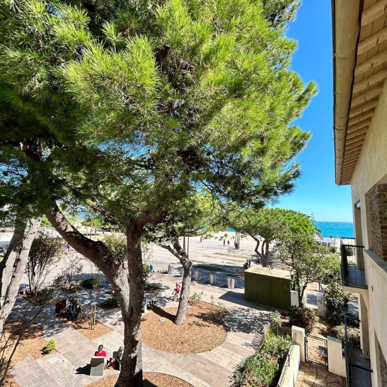 Appartement deux pièces climatisé situé au centre plage -AR110-108 - Apartment - 6